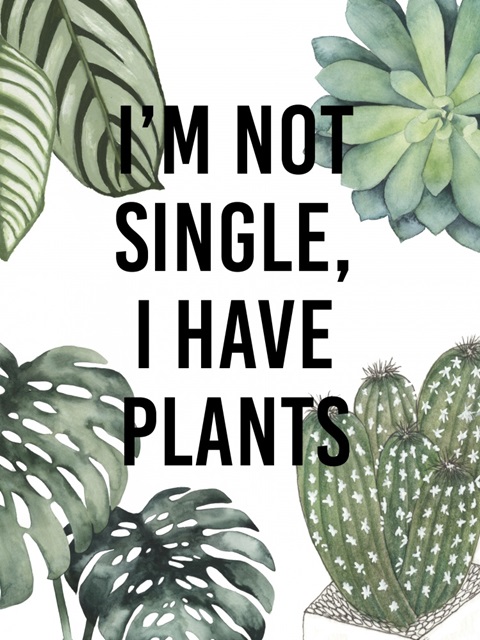 Plant Love V