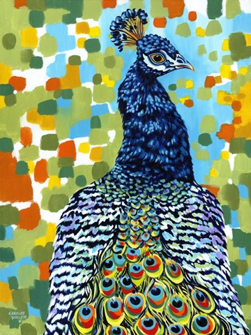 Plumed Peacock II