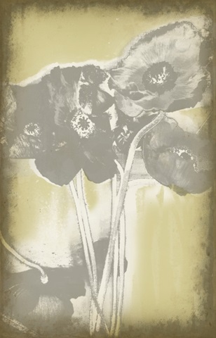 Poppies in Relief II
