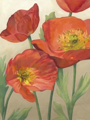 Poppy Love I