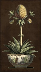Potted Pineapple I