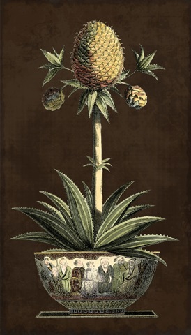 Potted Pineapple I