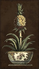 Potted Pineapple II