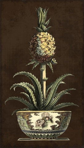 Potted Pineapple II