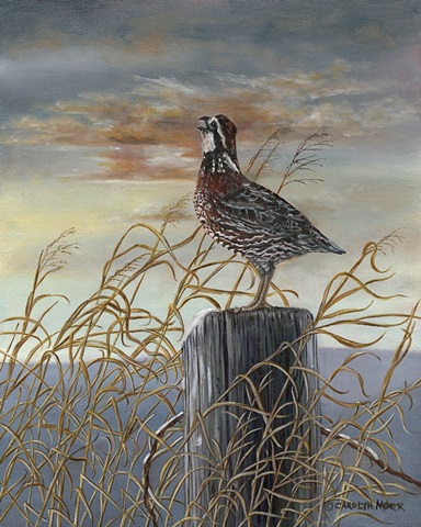 Quail on a Post