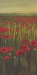 Red Poppies in Field I
