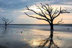 Reflections of Boneyard Beach