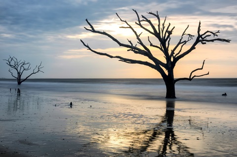 Reflections of Boneyard Beach