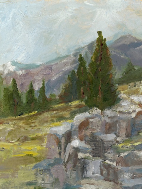 Rocky Hillside II