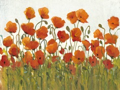 Rows of Poppies I