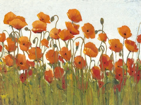 Rows of Poppies II
