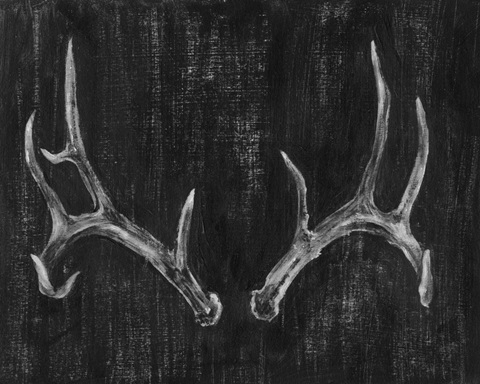 Rustic Antlers II