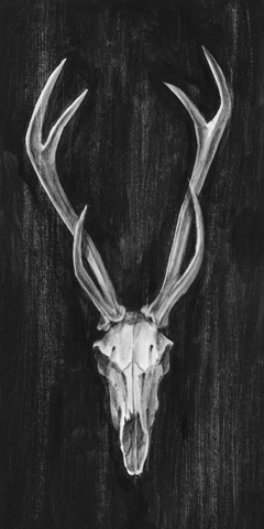 Rustic European Mount I