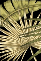 Rustic Tropical Leaves I