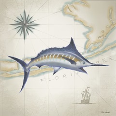 Sailfish Map I