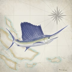 Sailfish Map II