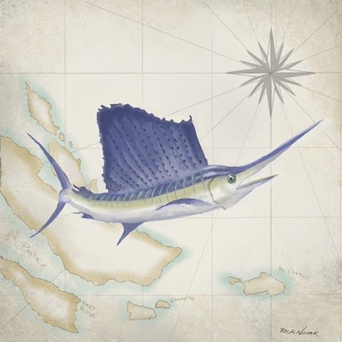 Sailfish Map II