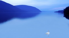 Scene on the Water IV