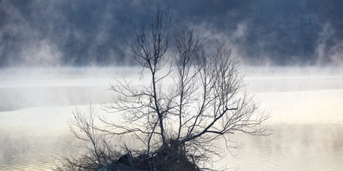 Scene on the Water VII