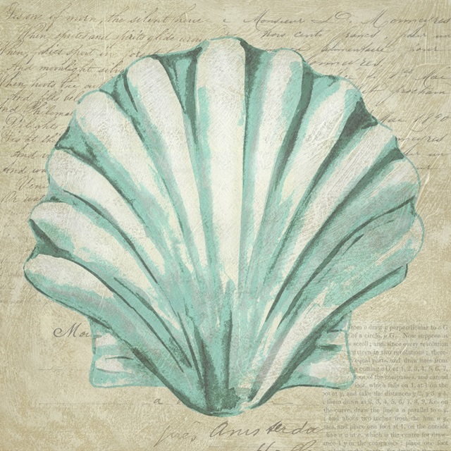 Seafoam Shell II