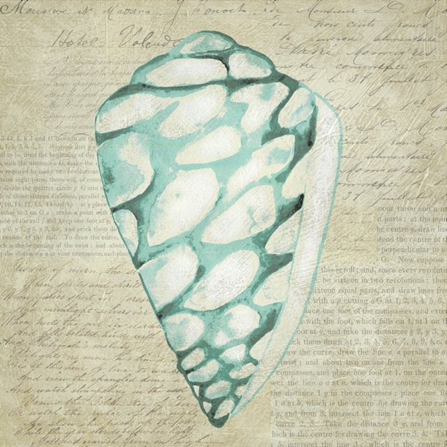 Seafoam Shell IV