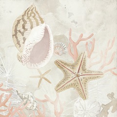 Shell Collector Fresco II