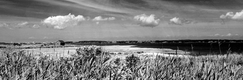 Shore Panorama III