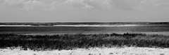 Shore Panorama IV