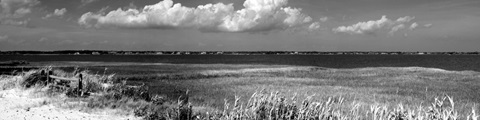 Shore Panorama VII