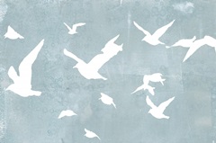 Silhouettes in Flight I