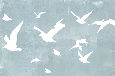 Silhouettes in Flight I