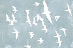 Silhouettes in Flight II