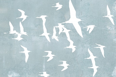 Silhouettes in Flight II