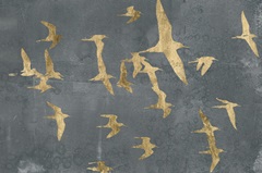 Silhouettes in Flight IV