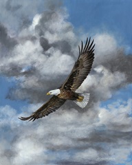 Soaring