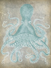 Spa Octopus I