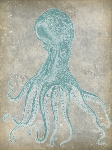 Spa Octopus II