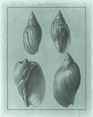 Spa Shell Collection III