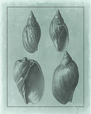 Spa Shell Collection III