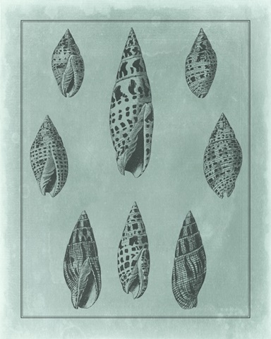 Spa Shell Collection IV