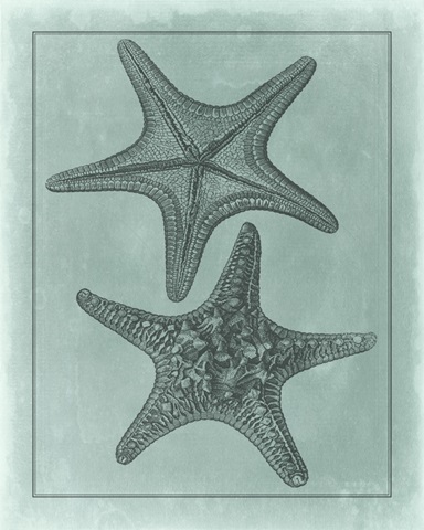 Spa Shell Collection VII