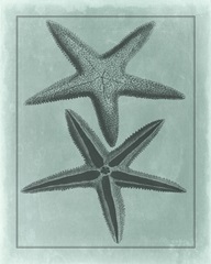 Spa Shell Collection VIII