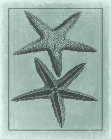 Spa Shell Collection VIII