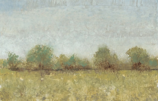 Spring Field I