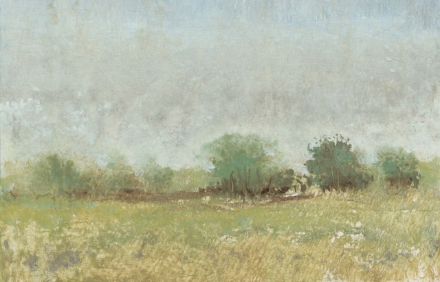 Spring Field II