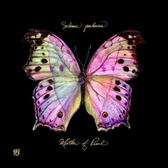 Striking Butterfly III