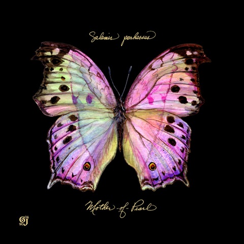 Striking Butterfly III