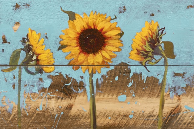 Sunflowers on Wood IV