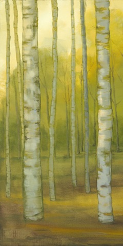Sunny Birch Grove I