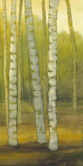 Sunny Birch Grove II